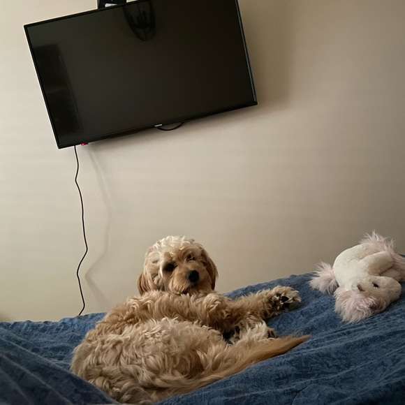 Clothes, jewelry, electronics and other items. New drops every week. Read bio! - Picture 4 of 4